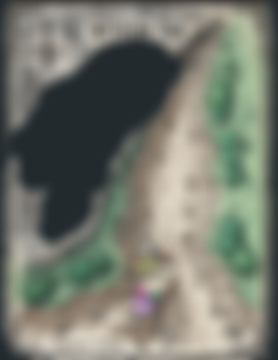 Activity